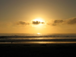 120_2050 120_2050