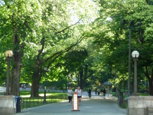 NYC, Central Park, Loving Life Blog, Johanna Nilsson, Life Coach