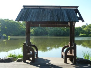 P1020342 NYC, Central Park, Loving Life Blog, Johanna Nilsson, Life Coach