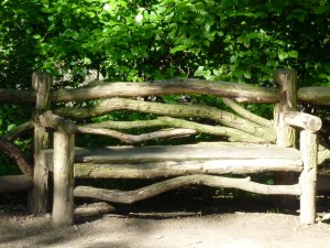 NYC, Central Park, Loving Life Blog, Johanna Nilsson, Life Coach