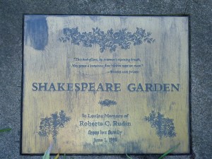 P1020361 NYC, Central Park, Loving Life Blog, Johanna Nilsson, Life Coach