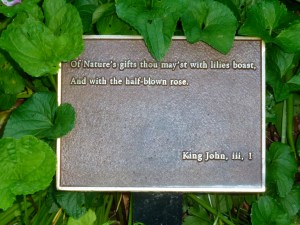 P1020363 NYC, Central Park, Loving Life Blog, Johanna Nilsson, Life Coach